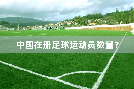 中国在册足球运动员数量？